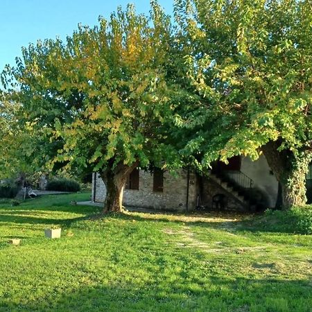 Agriturismo Canonici Amelia Eksteriør billede