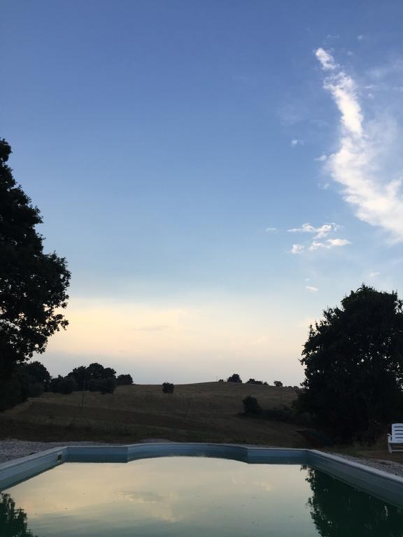 Agriturismo Canonici Amelia Eksteriør billede